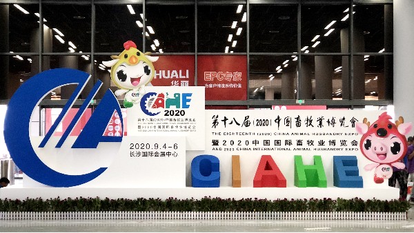 距中國畜牧展開(kāi)始還剩十二小時(shí)，河北愛(ài)牧多進(jìn)行著(zhù)緊鑼密鼓的準備中。