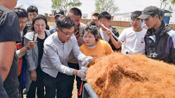 內(nèi)蒙古呼倫貝爾市貝爾蘇木畜牧獸醫(yī)站-愛(ài)牧多案例