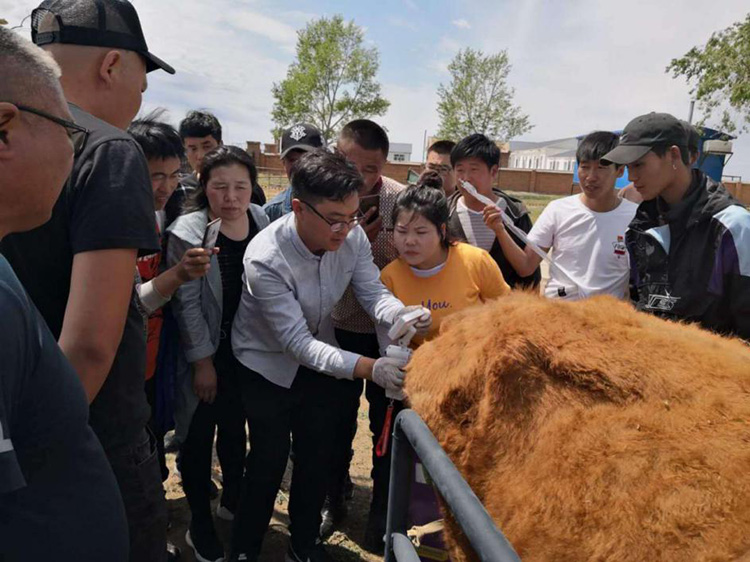 內蒙古呼倫貝爾市貝爾蘇木畜牧獸醫站-愛(ài)牧多案例