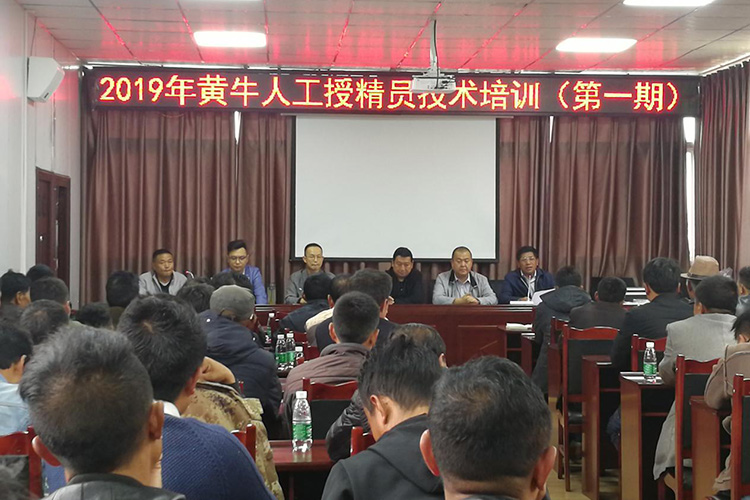 四川涼山州昭覺(jué)縣畜牧站-愛(ài)牧多案例