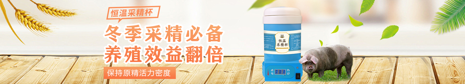 愛(ài)牧多豬用繁育養殖設備,豬排卵測定儀