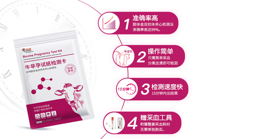 牛早孕試紙檢測(cè)卡